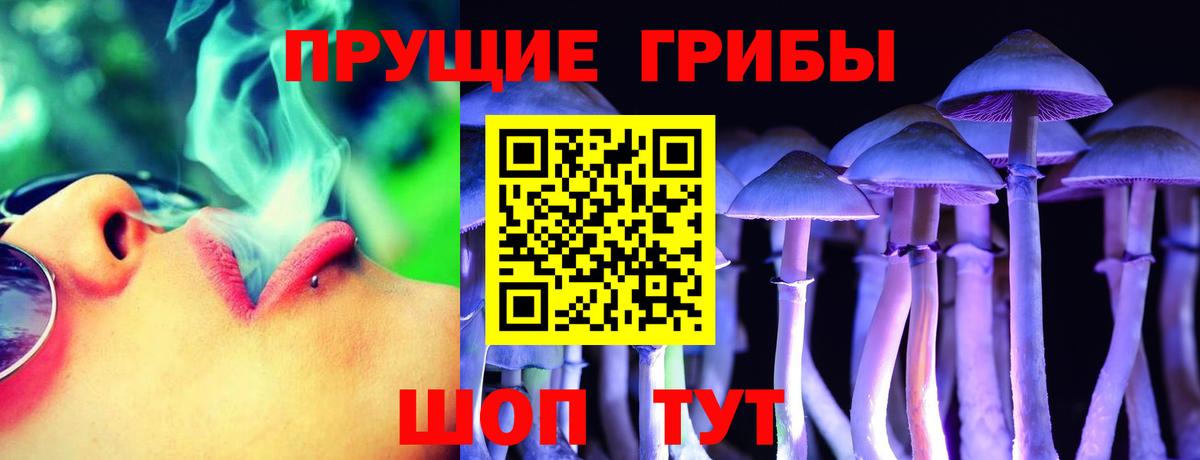 Рославль  Галлюциногенные грибы Psilocybe  Вход с VPN 